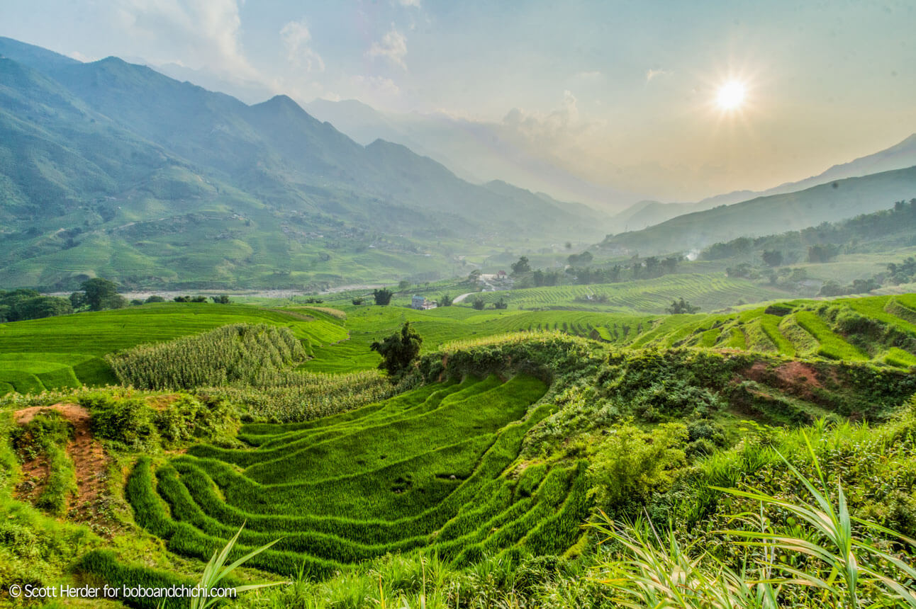 Rice Terraces of Sapa Vietnam
