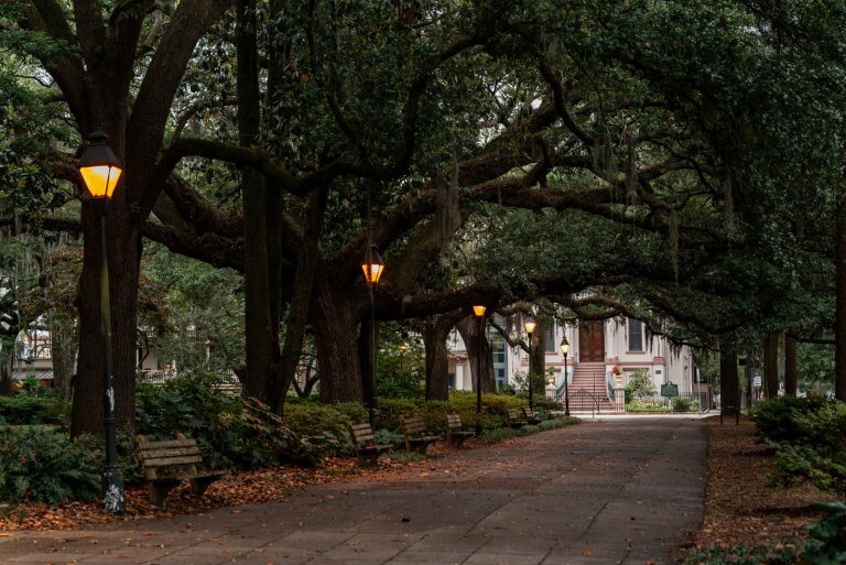 Spanish Moss and pathway surrounding Forsyth Park in Savannah Georgia
