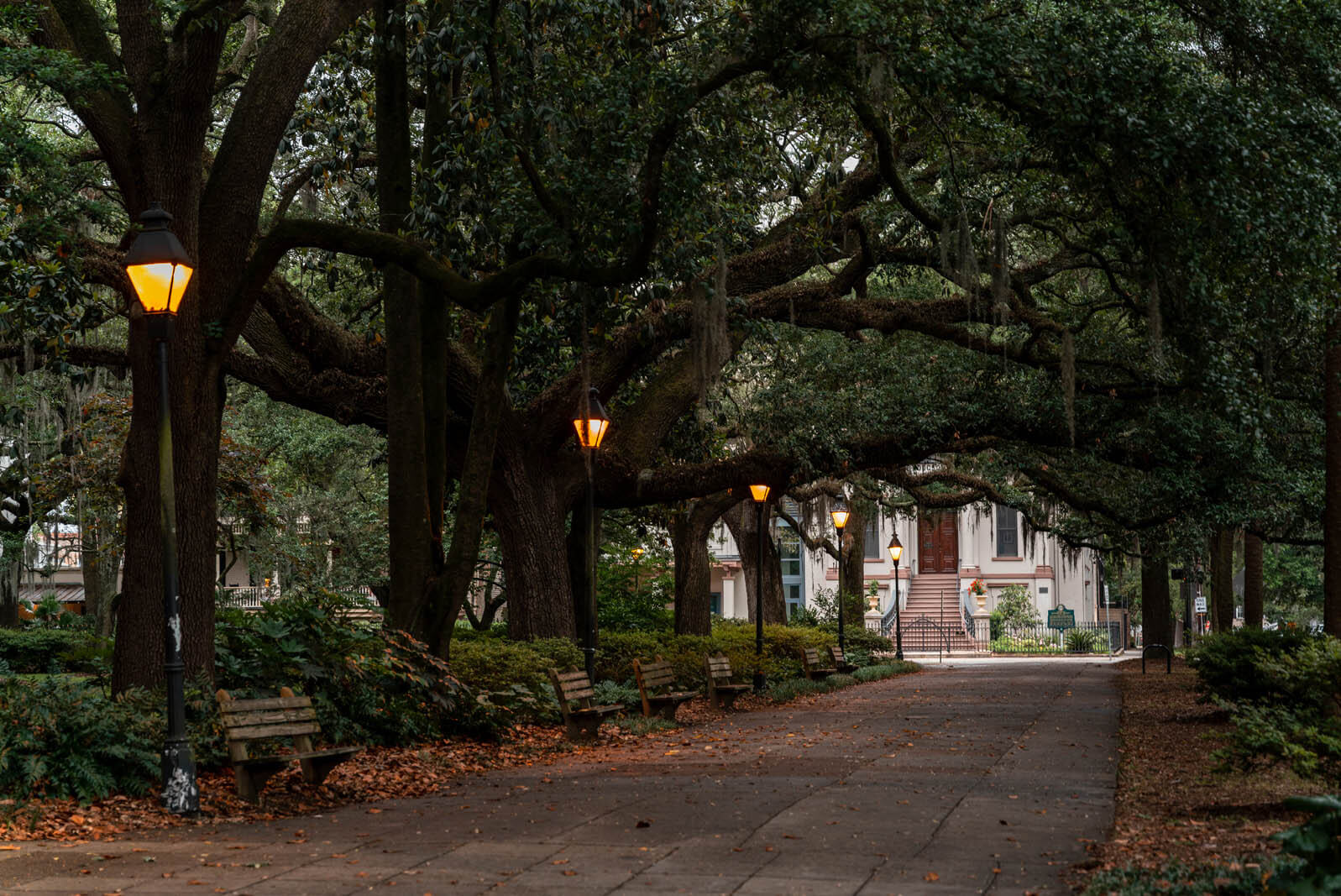 25 Best Things to Do in Savannah, Georgia (Getaway Guide)