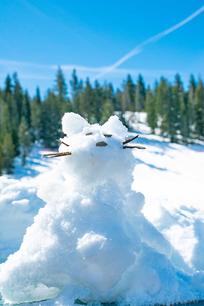 snow cat at Stanislaus National Forest in California