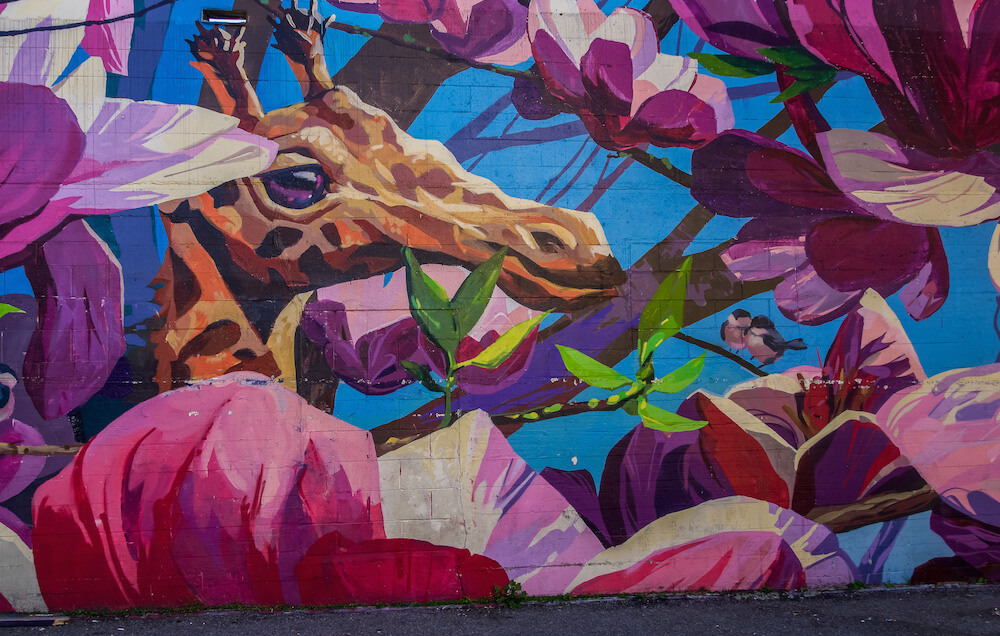 pretty murals in Vancouver British Columbia