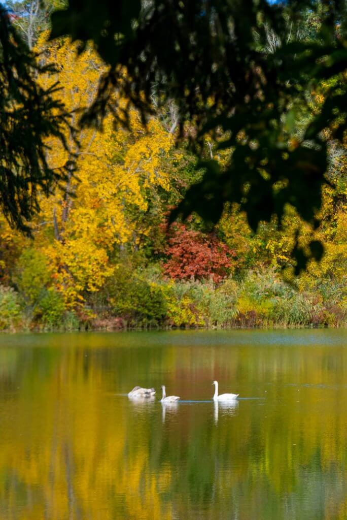 Tarrytown Lakes Park at the Resevoir in Tarrytown New York