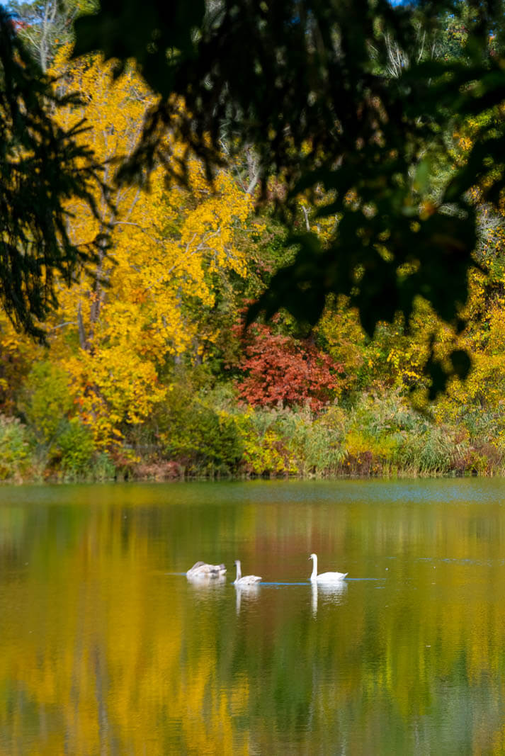 Tarrytown Lakes Park at the Resevoir in Tarrytown New York