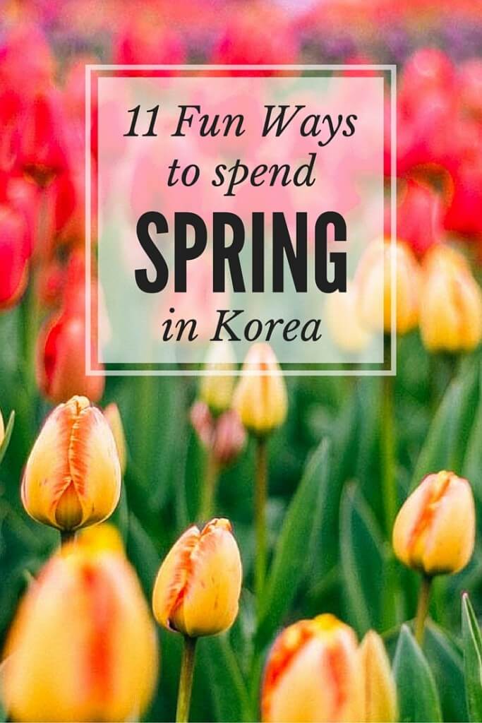 Spring in Korea