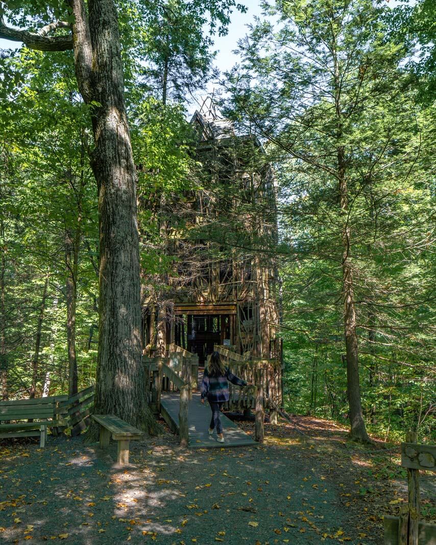 The 6 story treehouse at Cayuga Nature Center near Ithaca NY