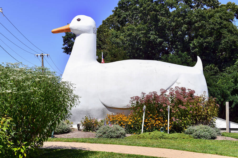 The-Big-Duck-in-Flanders-New-York-in-the-Hamptons