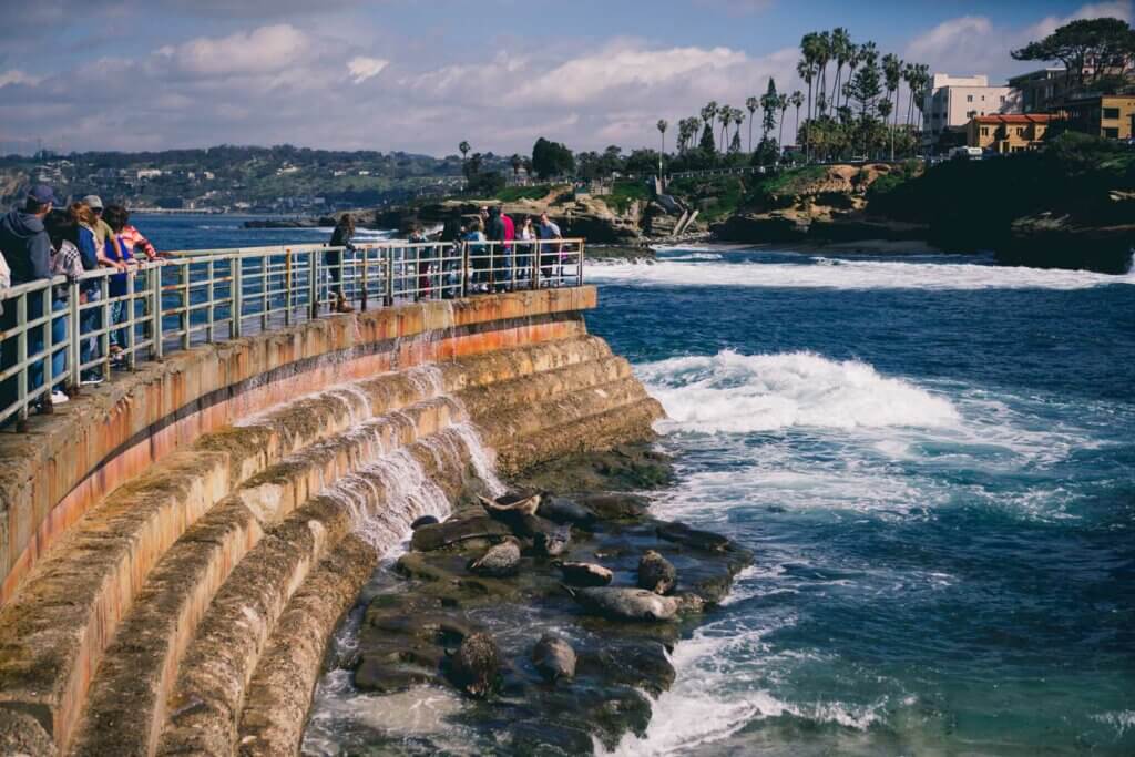 The Children's Pool and seals and sea lions in La Jolla California in San Diego County