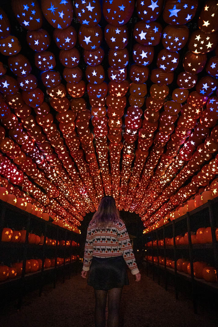 The Great Jack O Lantern Blaze at the Van Cortlant Manor in Croton-on-Hudson New York near Sleepy Hollow in the fall