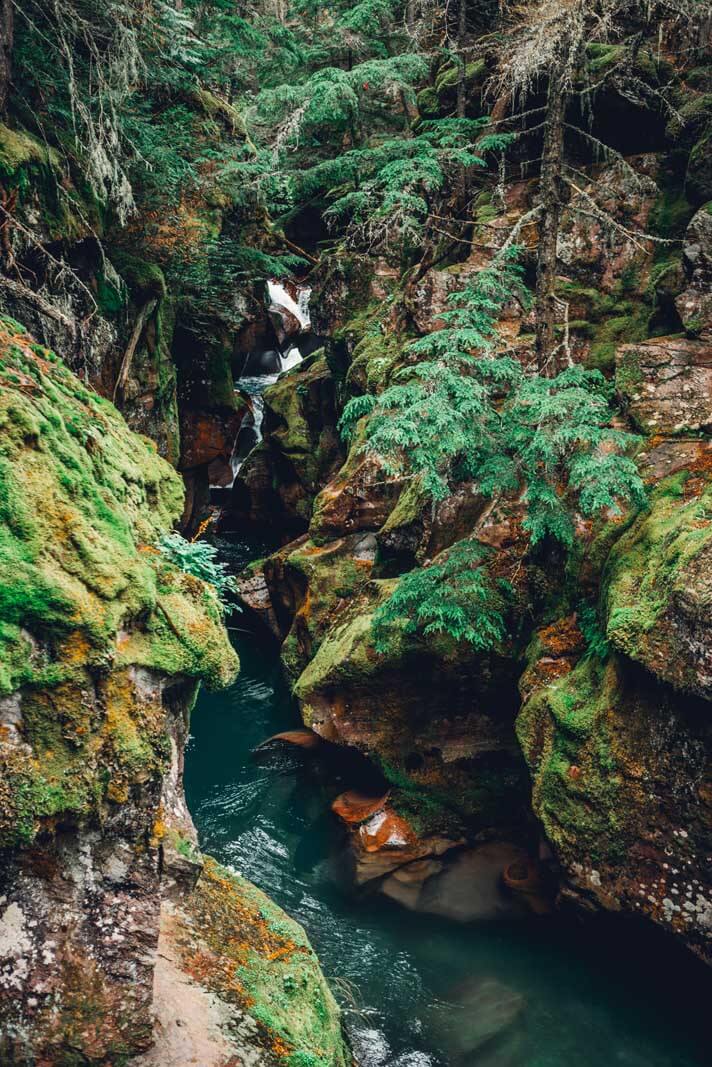 The crazy vivid colors of Avalanche Creek in Glacier National Park in Montana