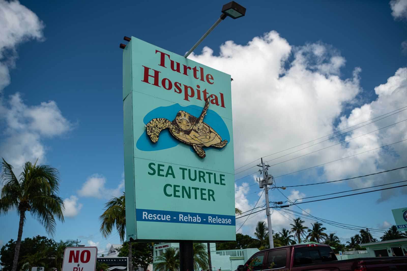 the Turtle Hospital in Marathon in the Florida Keys