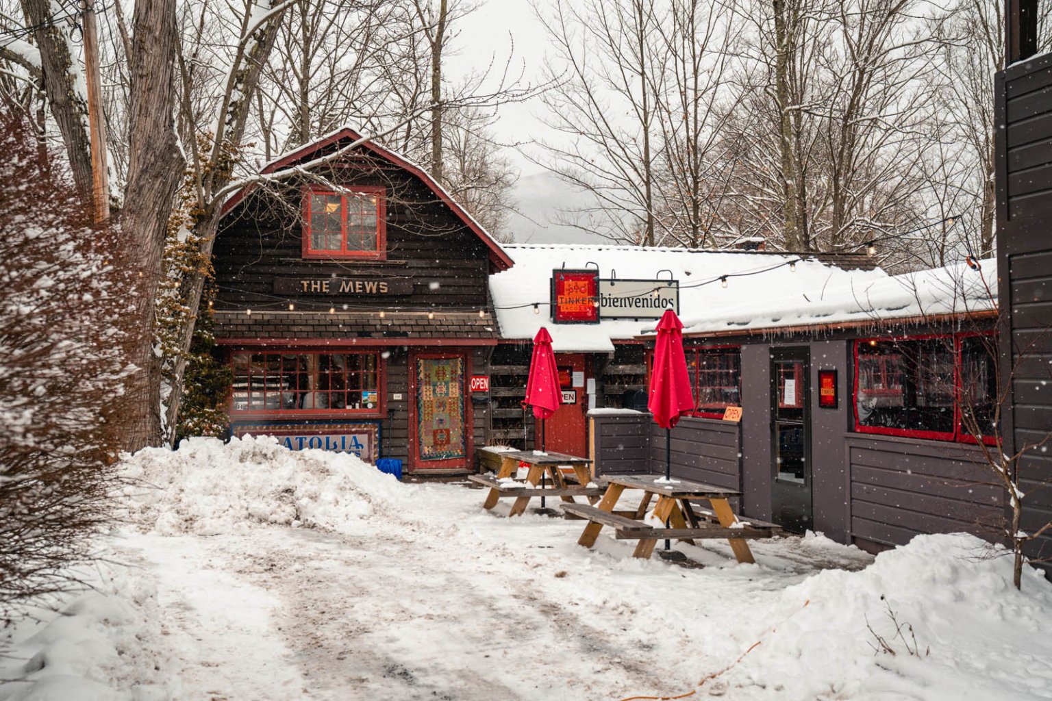 Charming & Best Towns in the Catskills to Visit Bobo and ChiChi