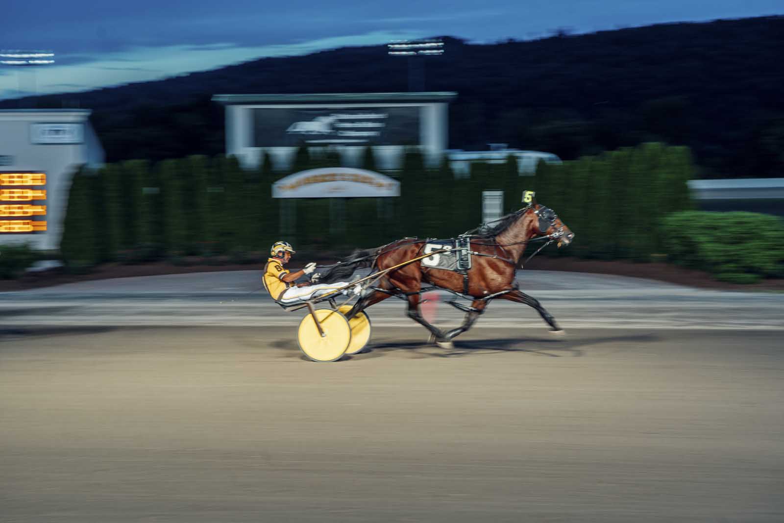 Tioga Downs Casino Horse Track Race