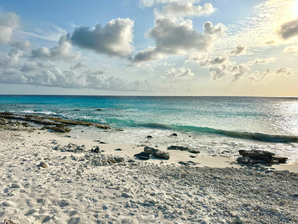 Toris-Reef-Beach-in-Bonaire-near-the-salt-pier