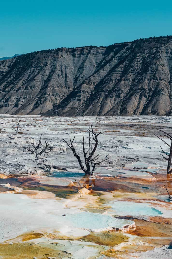 The colors and landscape of Mammoth Hot Springs in Yellowstone National Park