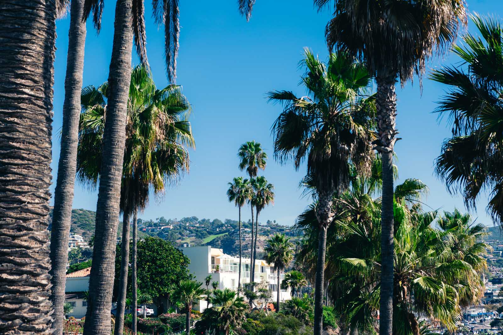 Heisler Park View in Laguna Beach