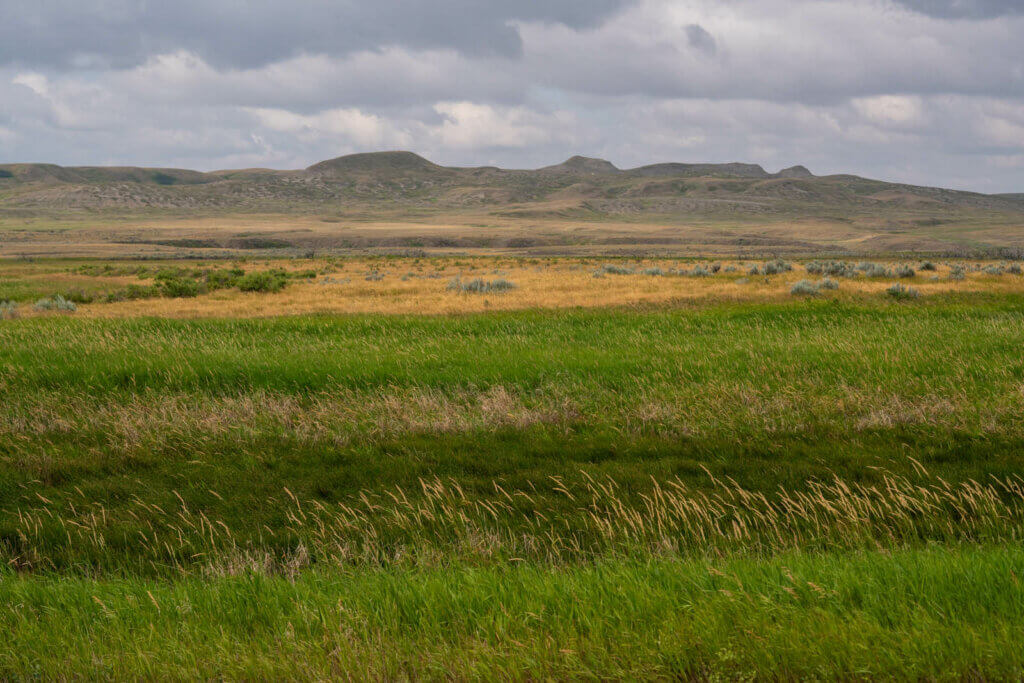 View from the Ecotour Scenic Drive in Grasslands National Park West Block in Saskatchewan