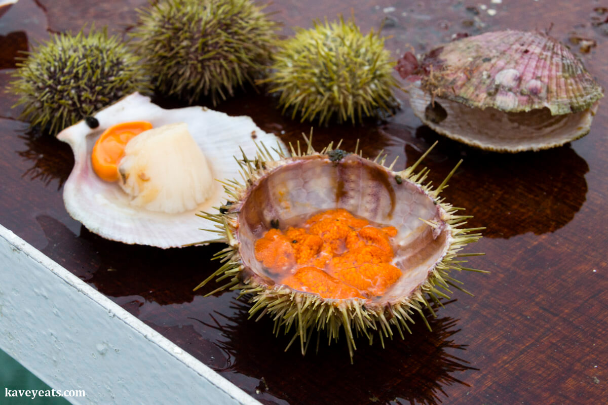 Viking Sushi Boat food in Iceland