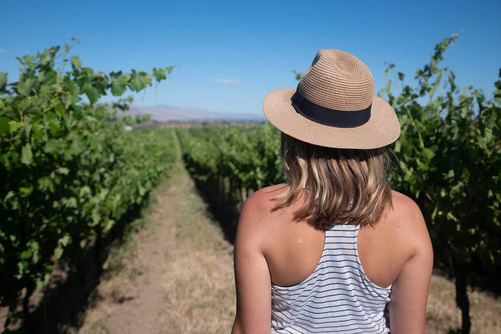 yakima valley wine country megan looking at the view in one of the vineyards