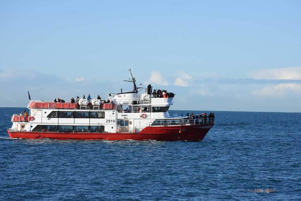 Whale Watching boat from Reykjavik