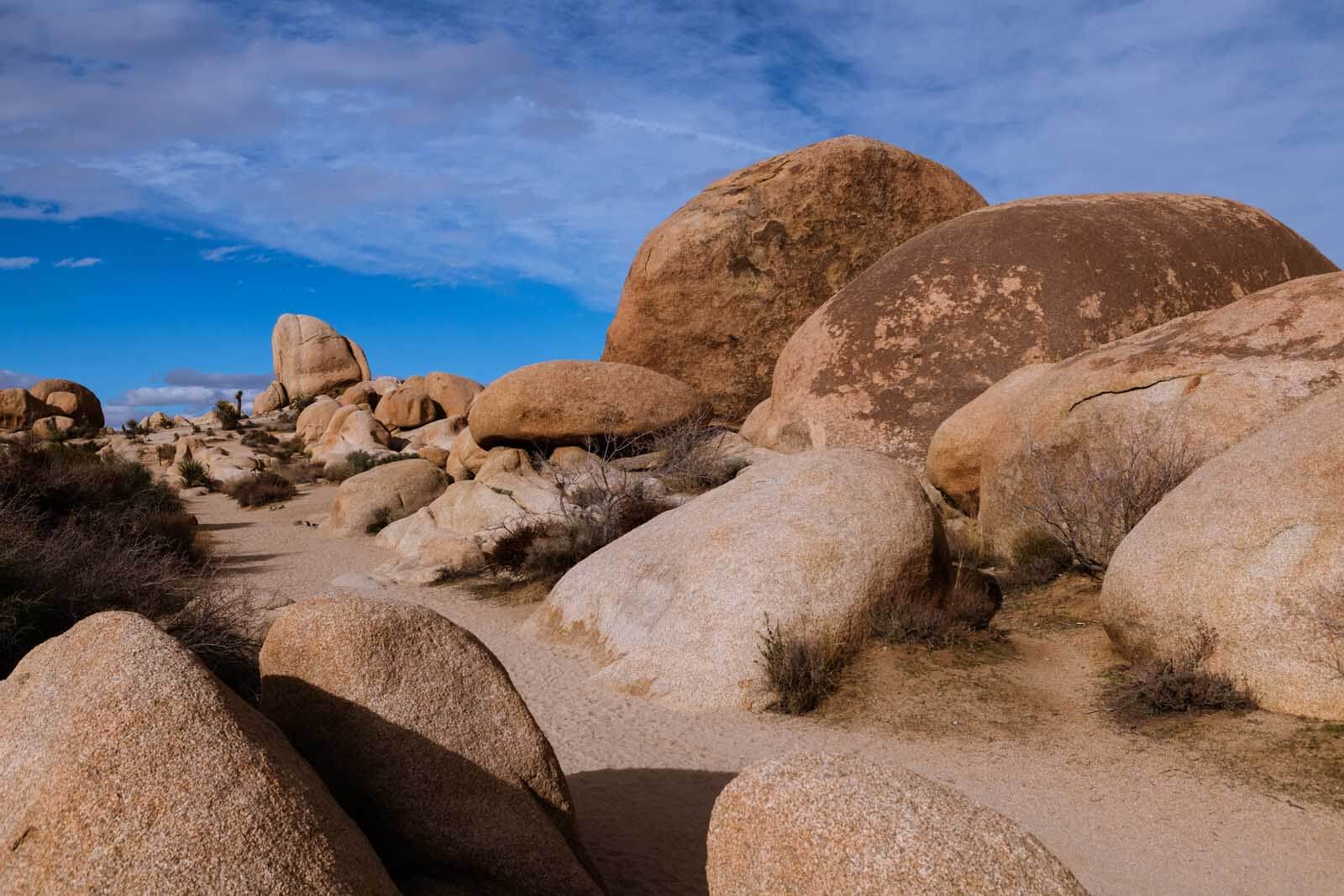 Rocks at White Tank in Joshua Tree