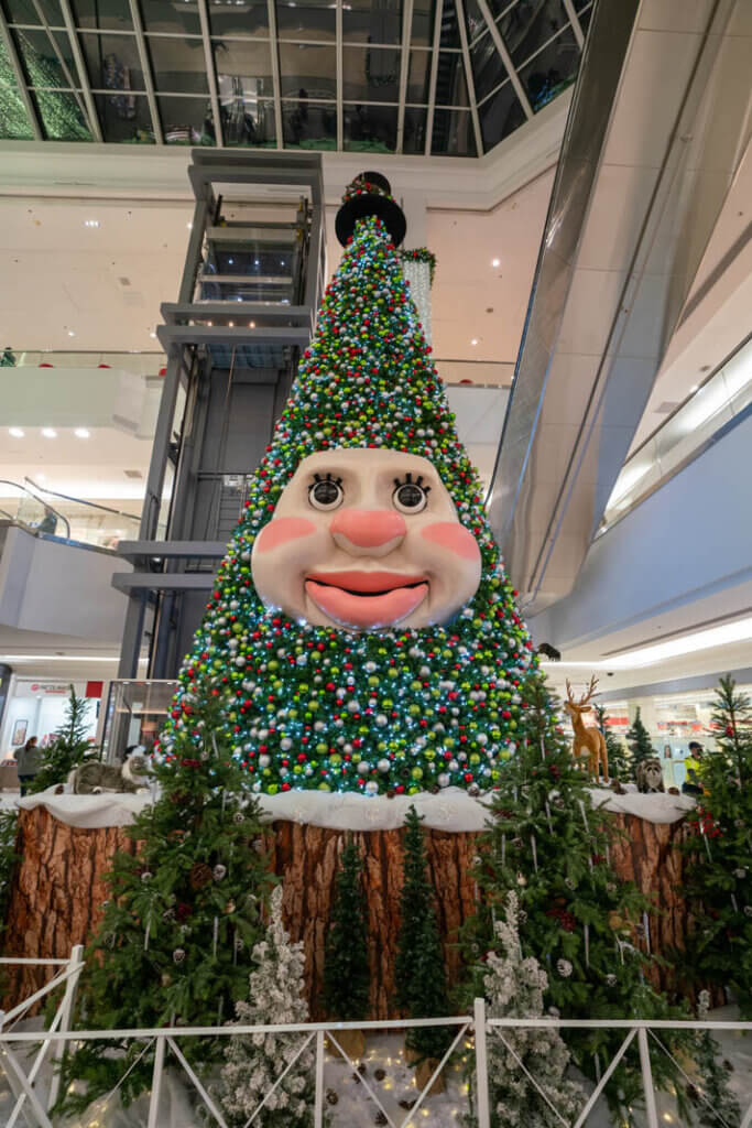 Woody the Talking Christmas Tree in Dartmouth Nova Scotia at the MicMac Mall