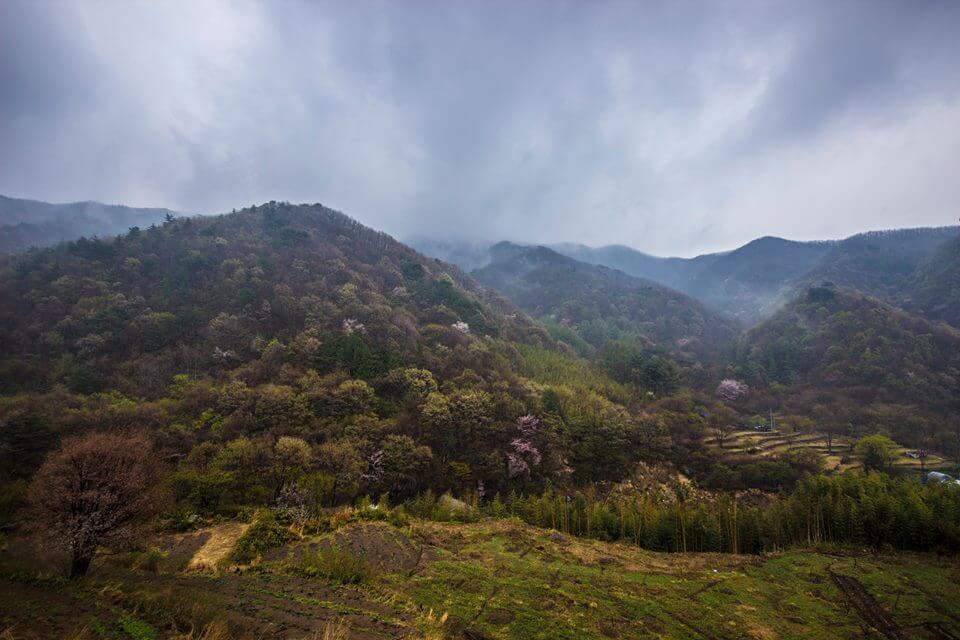 Korea's National Parks
