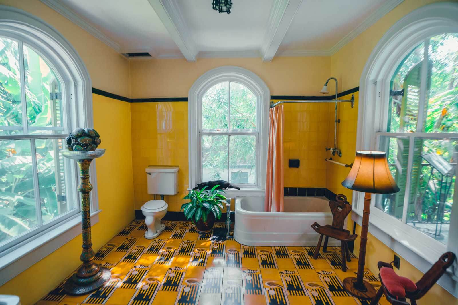 a cat in the bathroom at the Hemingway Home in Key West