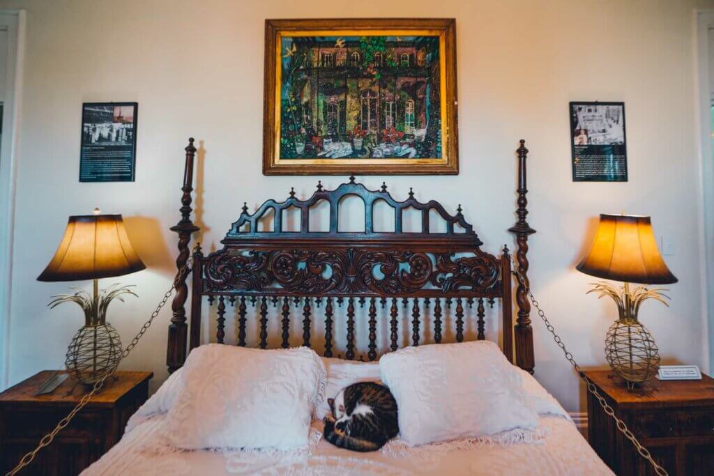 a cat sleeping on the bed at the Hemingway Home and Museum in Key West Florida
