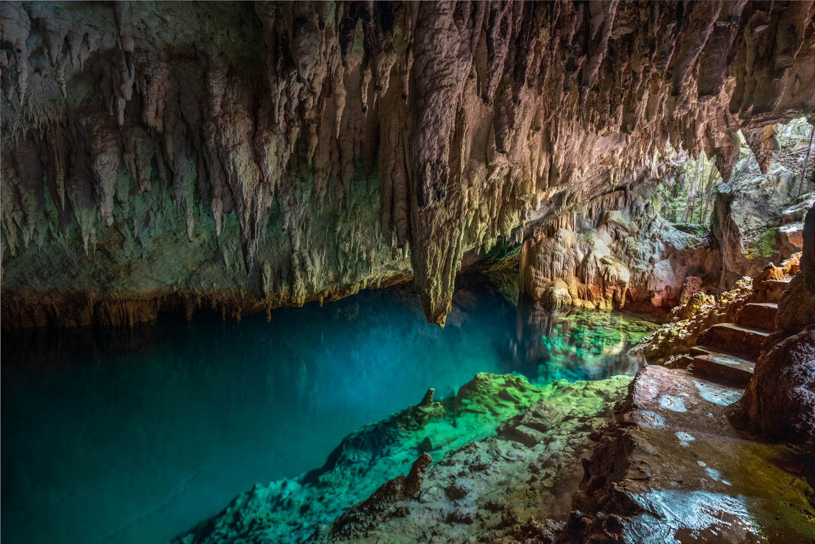 a gorgeous grotto and cave we found in Blue Hole Park in Bermuda