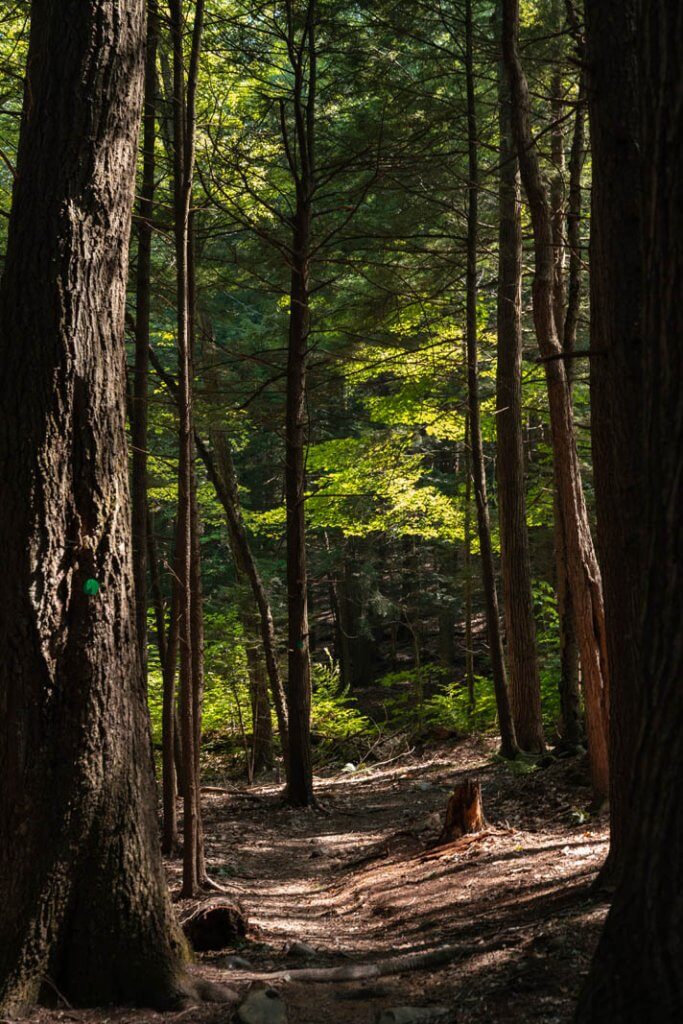 a hike with Berkshire Camino through the boulders near Pittsfield MA