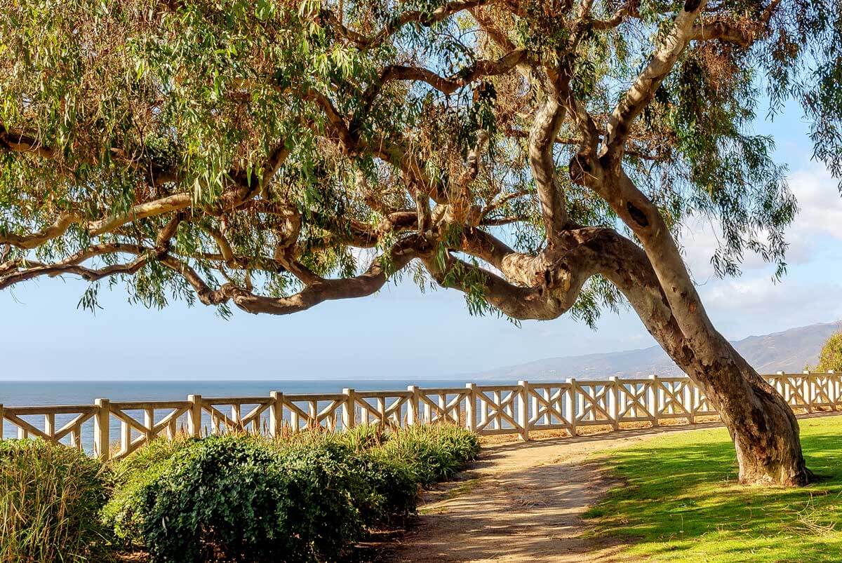 a-view-from-Palisades-Park-in-Santa-Monica-Los-Angeles