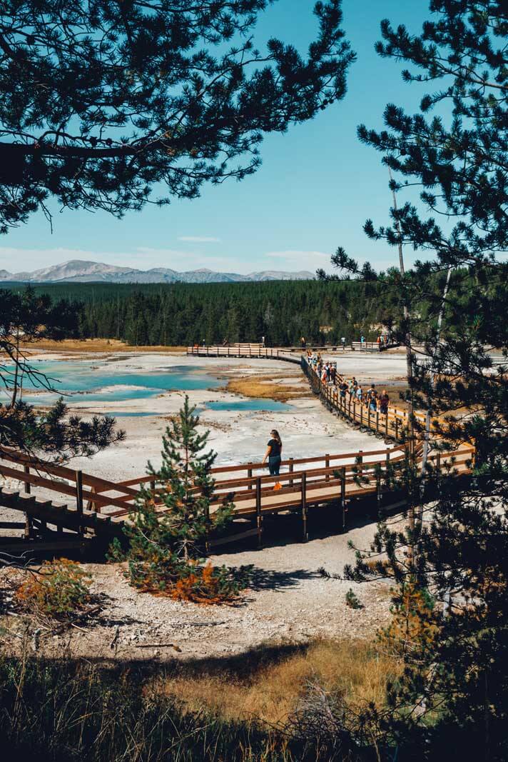 along the wooden boardwalk at Norris Geyser Basin in Yellowstone