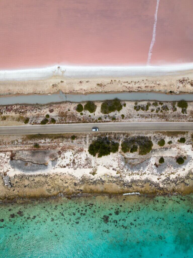 ariel view of where the ocean meets Bonaire and the pink lakes of the salt pans