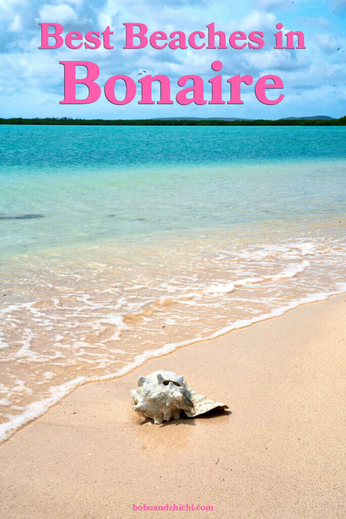best-beaches-in-bonaire-guide