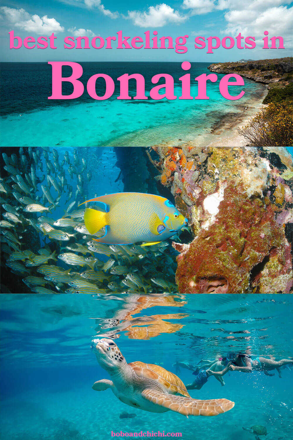 best-bonaire-snorkeling-spots-travel-guide