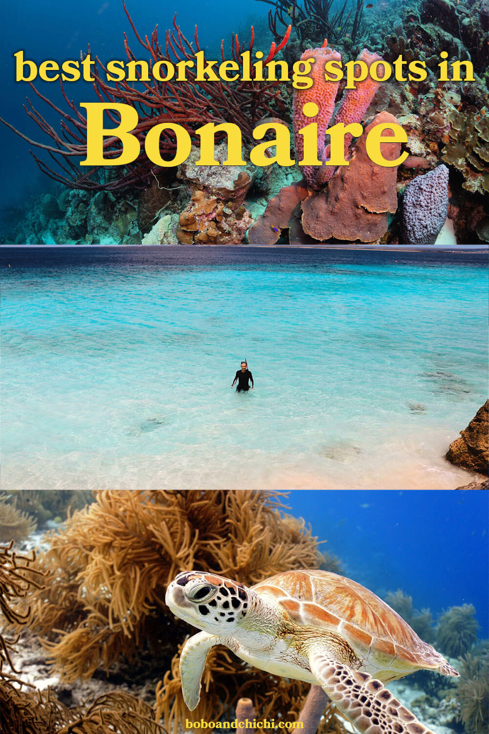 best-bonaire-snorkeling