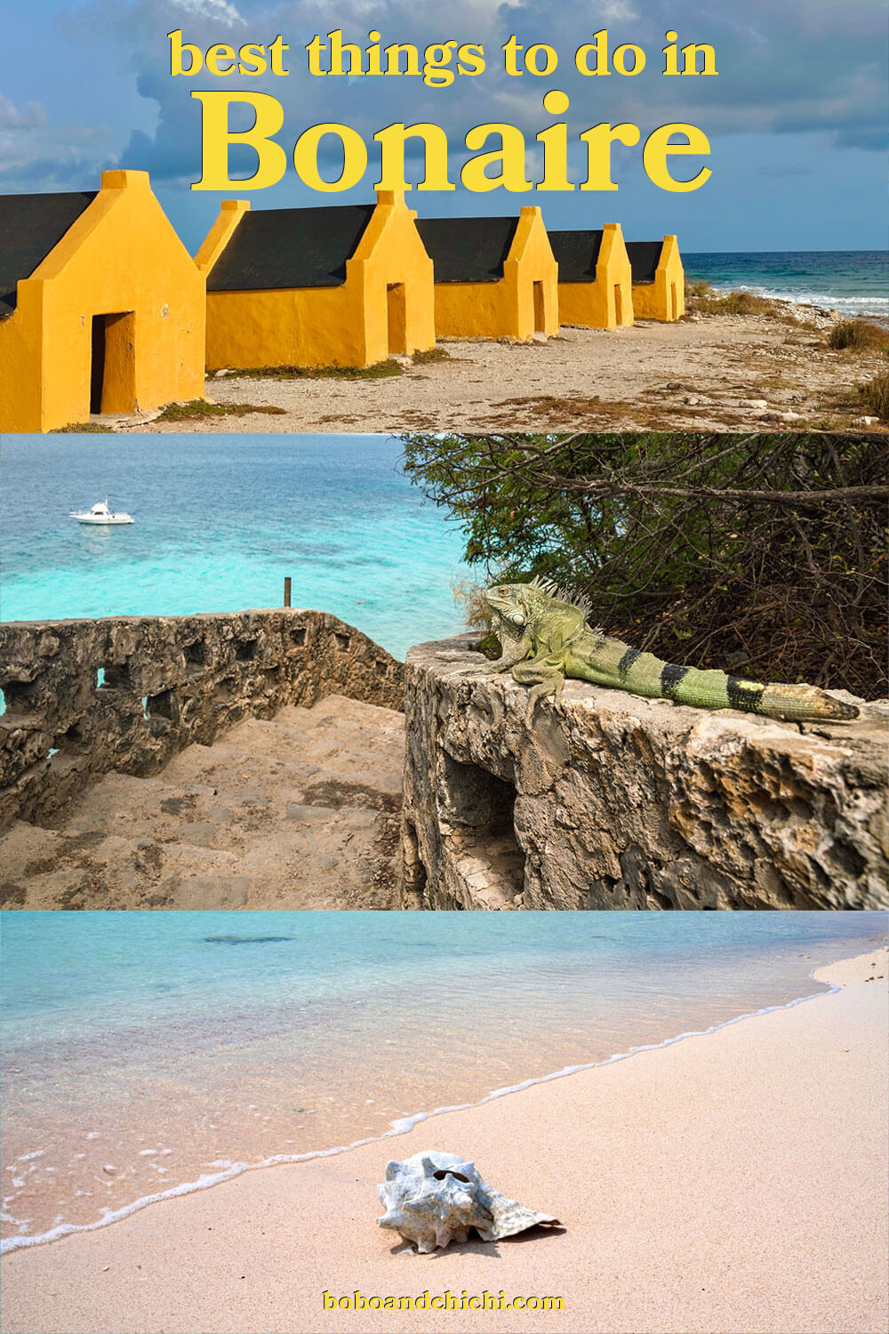 best-things-to-do-at-bonaire