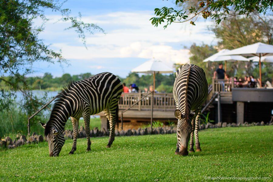 unique hotels