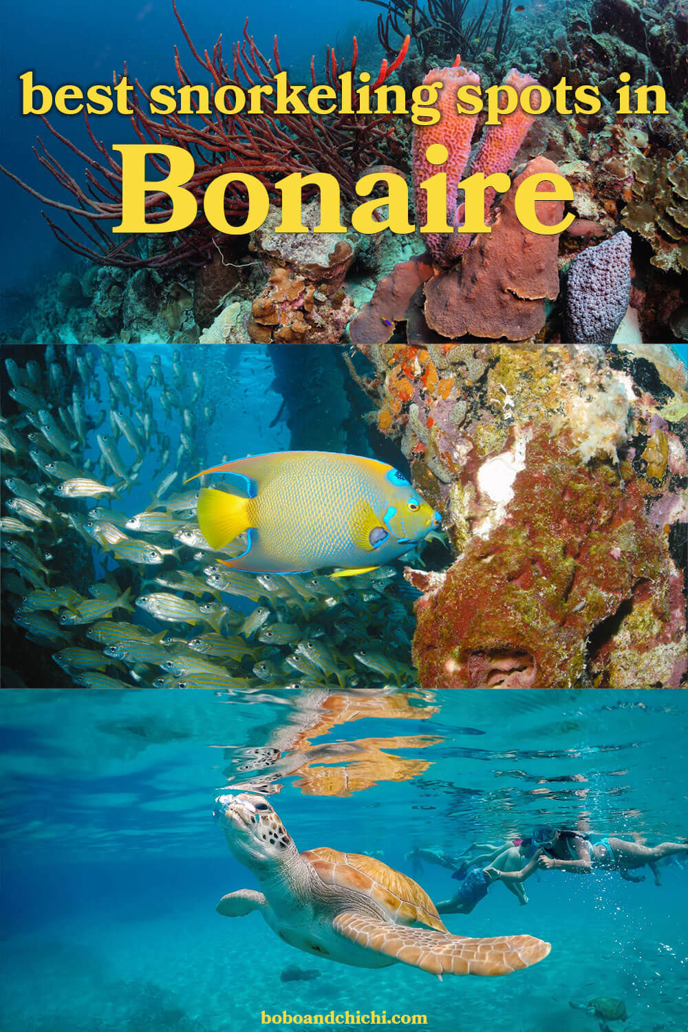 bonaire-snorkeling-guide