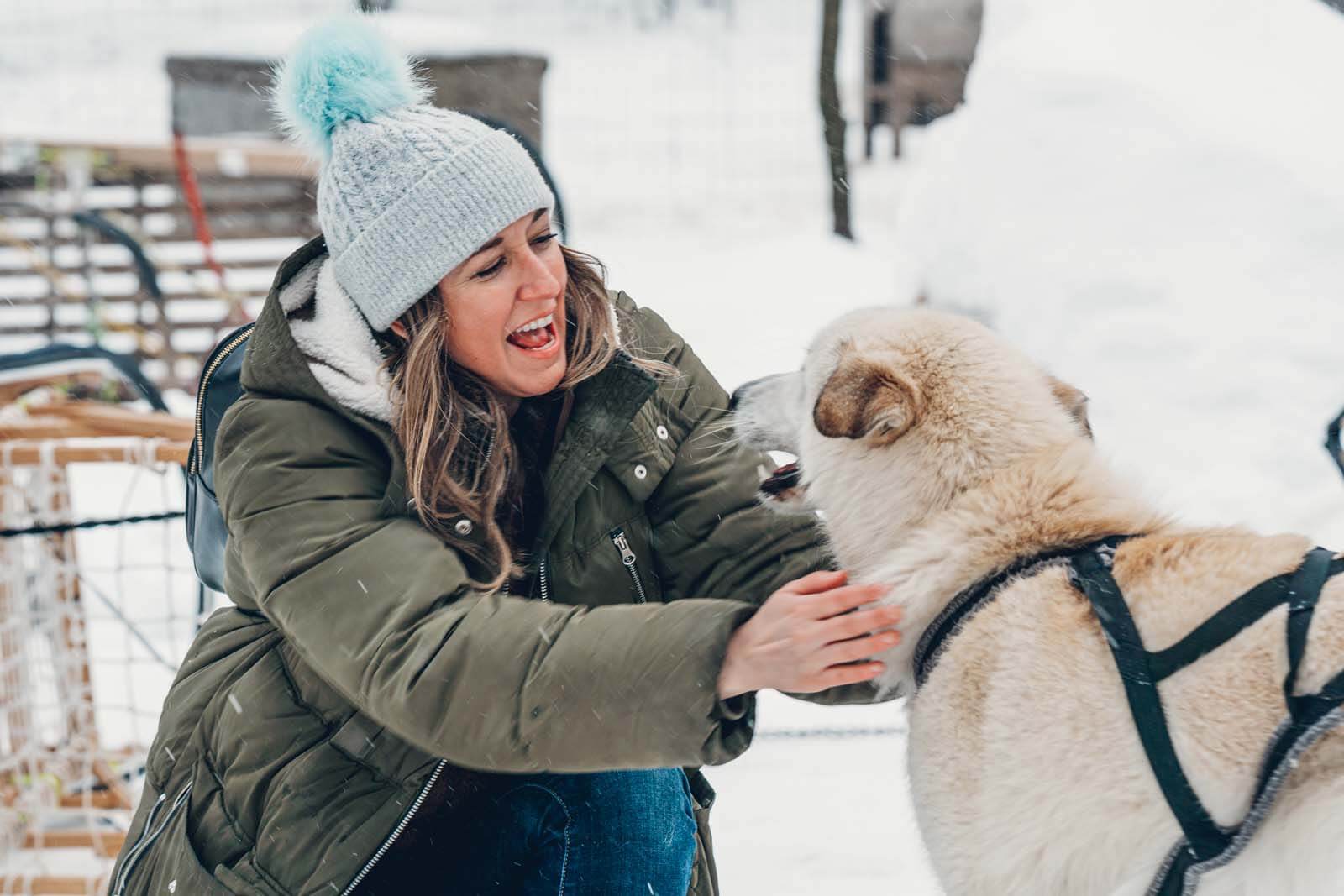 bonding with the dog sled dogs in winter