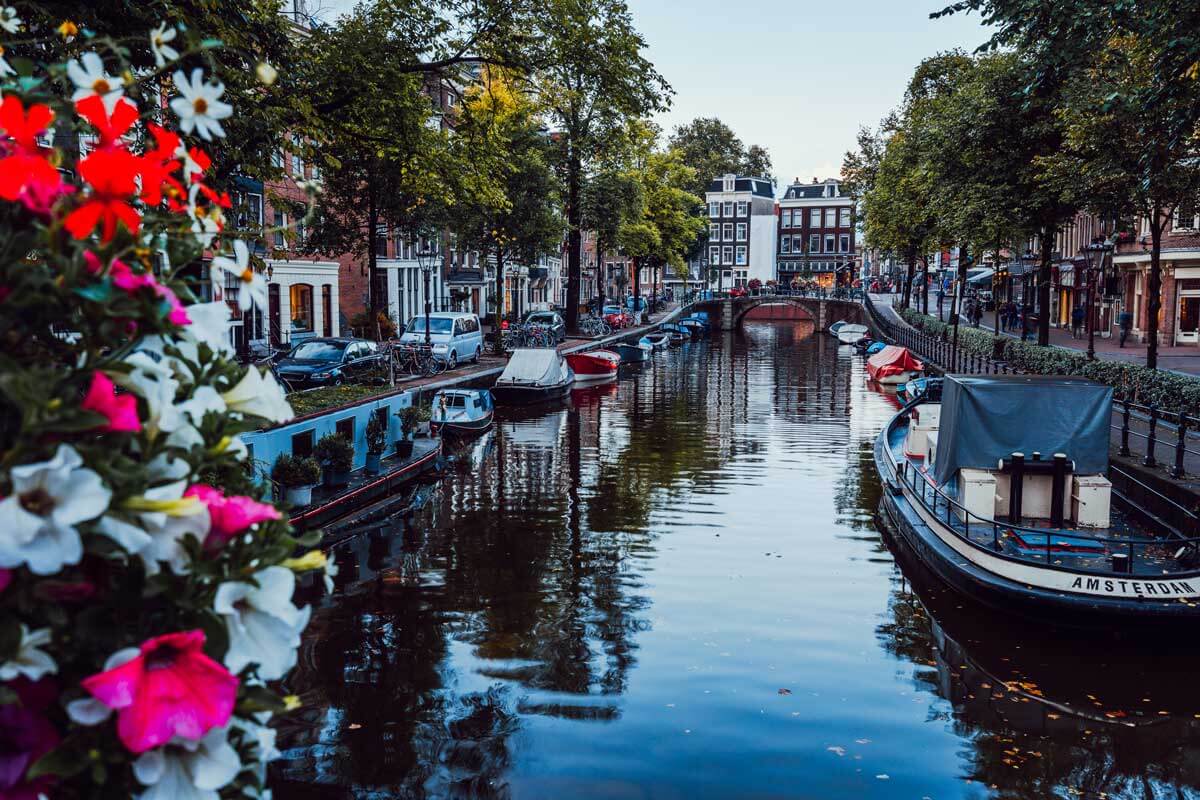bright-flowers-on-a-bridge-over-a-beautiful-tree-in-Amsterdam-on-the-canals-l-UFCU9R6