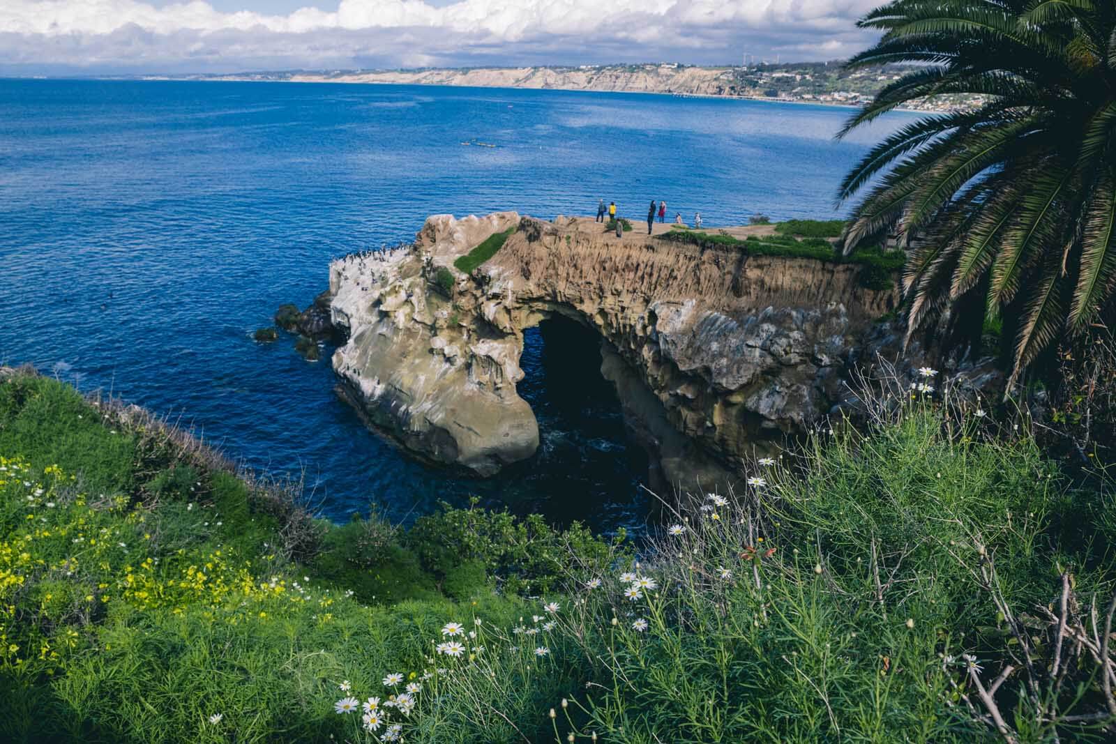 coastal cliffside view from La Jolla in San Diego a small coastal town in California