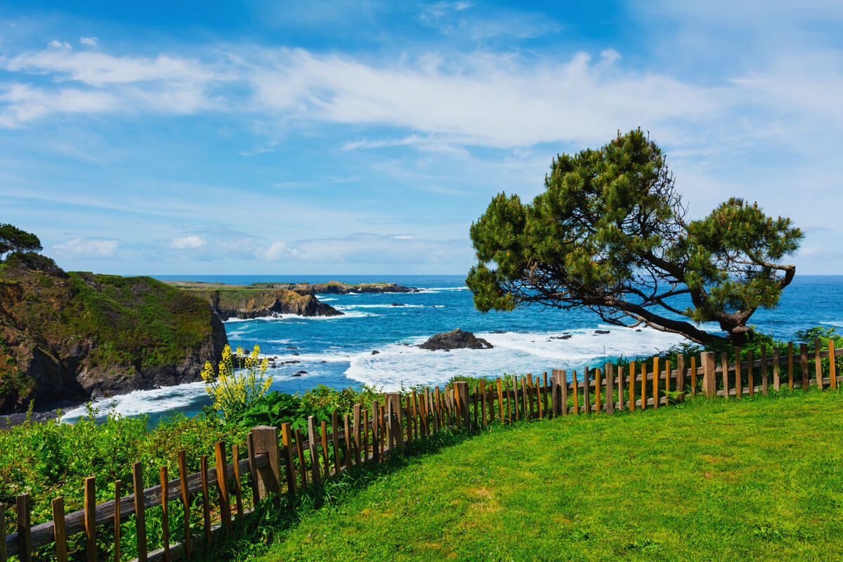 coastal-view-of-the-Pacific-Ocean-from-Mendocino-California