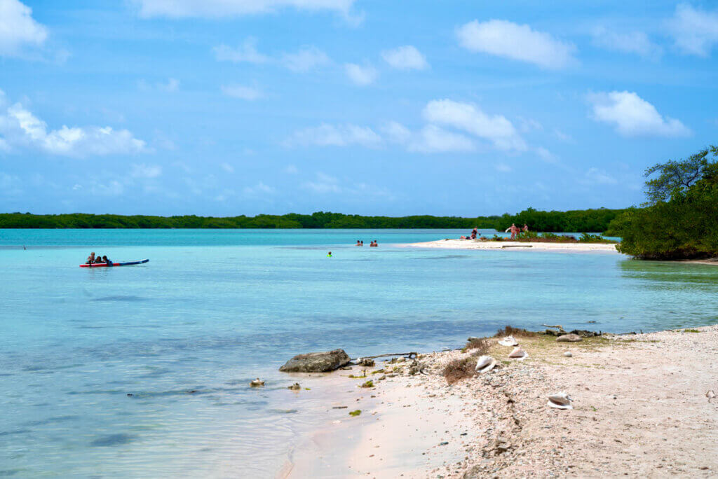 conch shells and the sandy shores at Lac Cai Beach at Lac Bay in Bonaire
