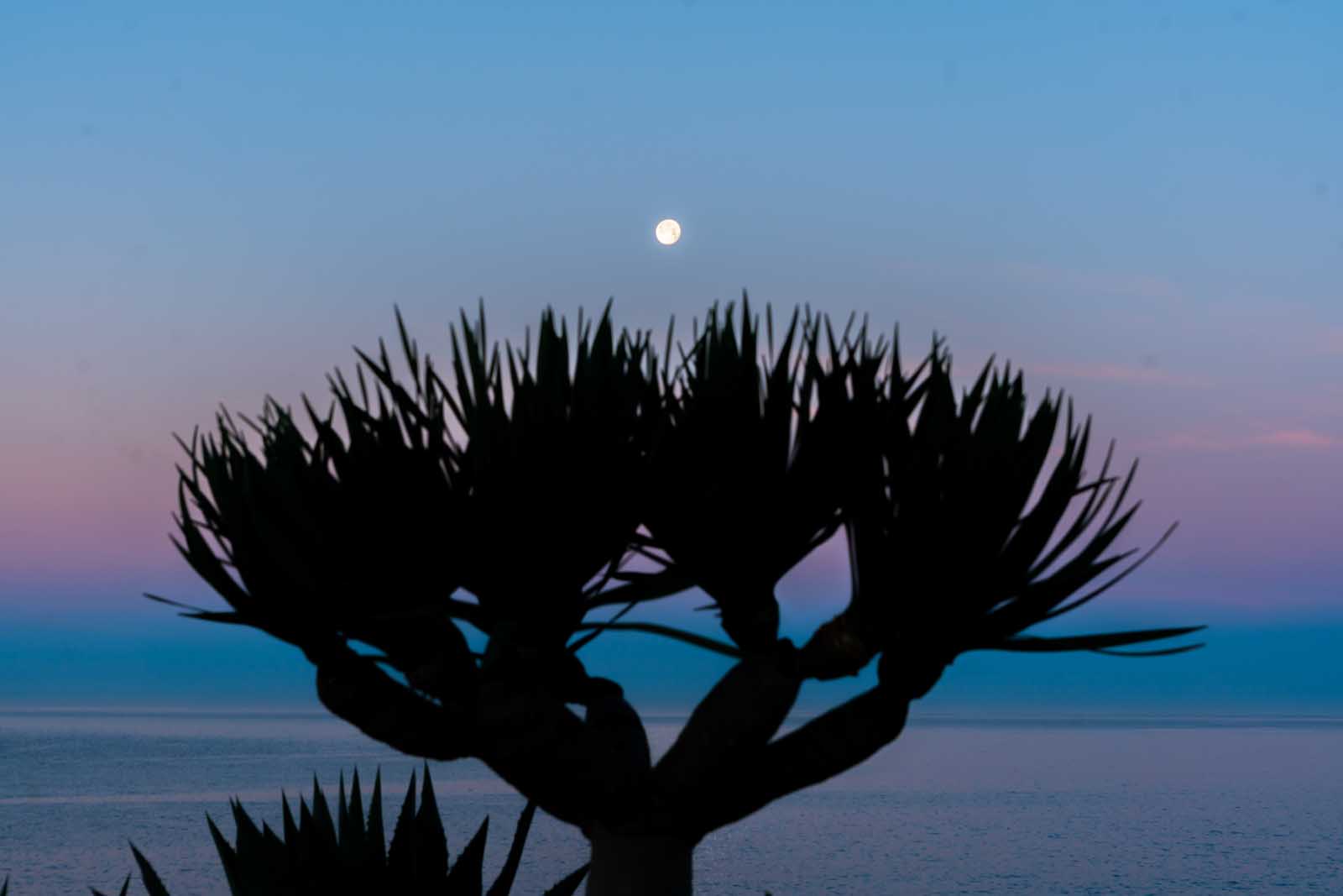 Sunrise at Montage in Laguna Beach