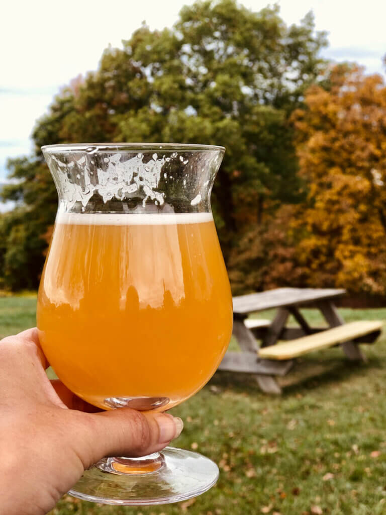 craft-beer-from-Lucky-Hare-Brewing-Company-in-Hector-on-Seneca-Lake-in-the-Finger-Lakes-New-York