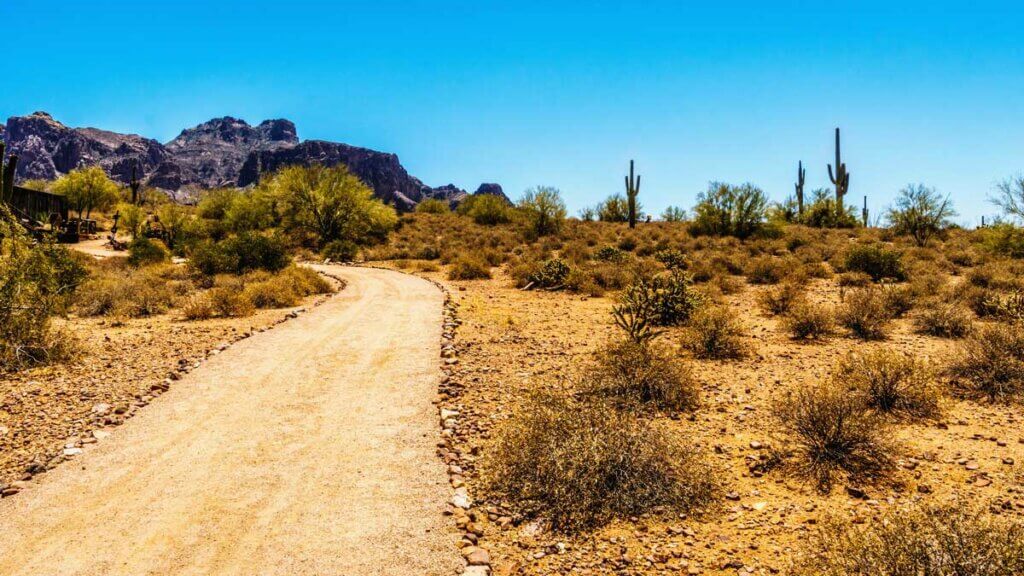 dirt road in Tonto National Forest in Arizona near Scottsdale