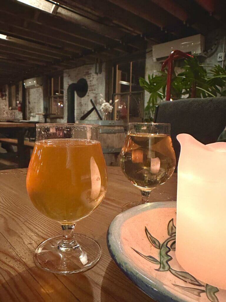 11 Amazing Things to do in the Town of Catskill, New York - Bobo and ChiChi
