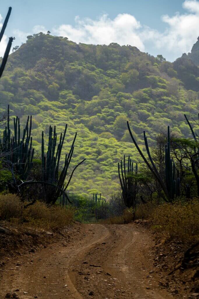 driving on the road in Washington-Slagbaai National Park in Bonaire