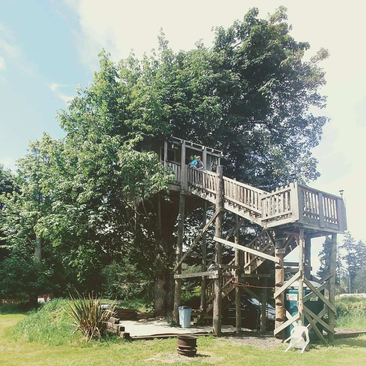 eagles loft at dungeness in washington